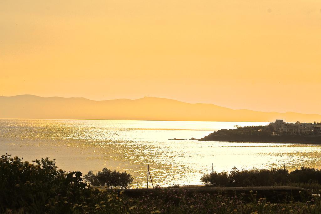 Akrotiraki Villas Tínos Exteriör bild